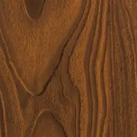 Textura 5